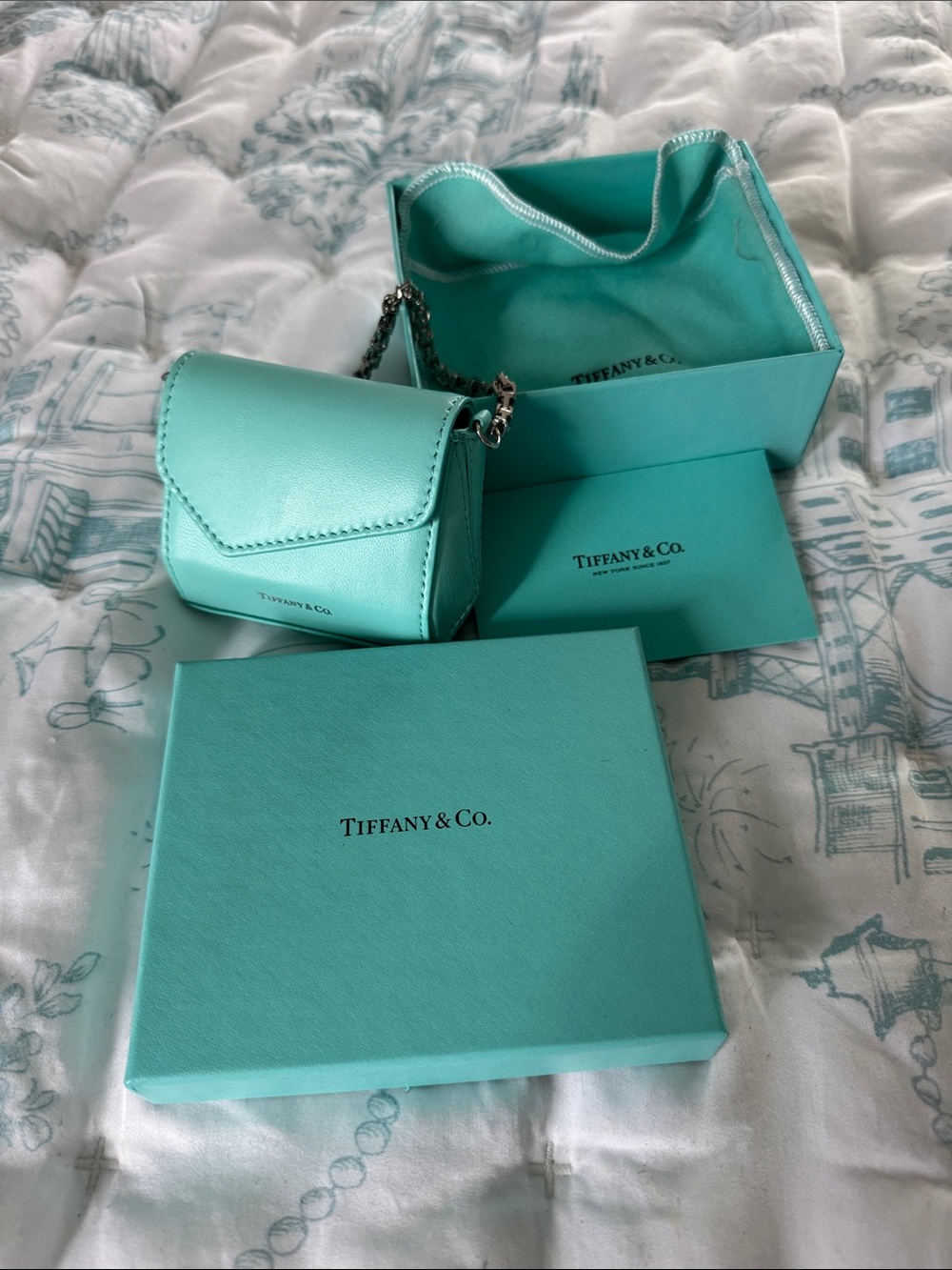Authentic Tiffany Blue Tiffany T Nano Micro Leather Bag Pouch Purse Charm